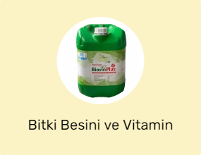 Bitki Besini ve Vitamin