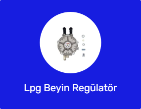 Lpg Beyin Regülatör