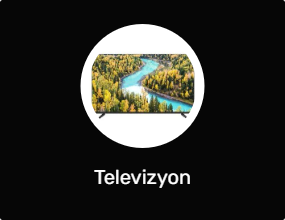 Televizyon