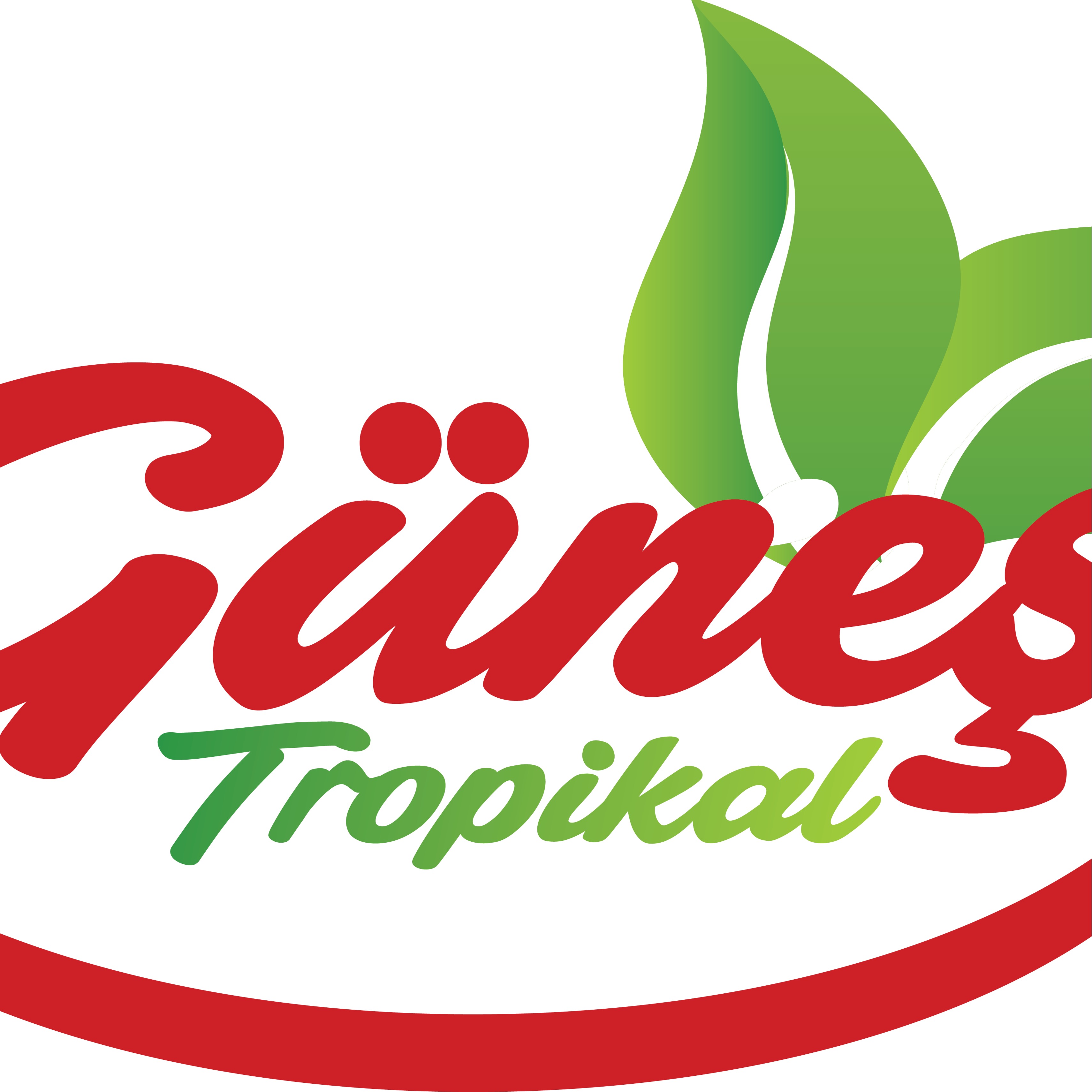 GÜNEŞ TROPİKAL TARIM ÜRÜN GIDA LTD. ŞTİ.