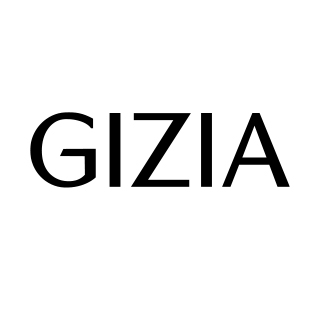 Gizia logo