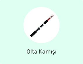 Olta Kamışı