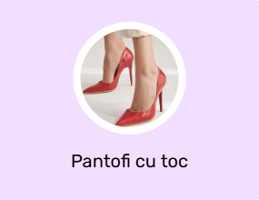 Pantofi cu toc