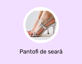 Pantofi de seară
