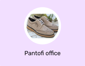 Pantofi office