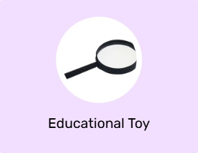 Educational Toy