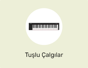Tuşlu Çalgılar