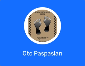 Oto Paspasları