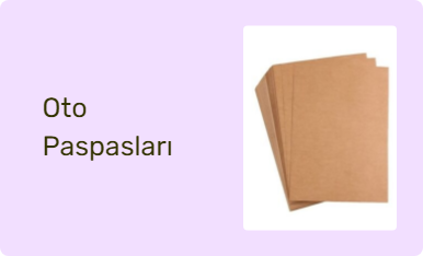 Oto Paspasları