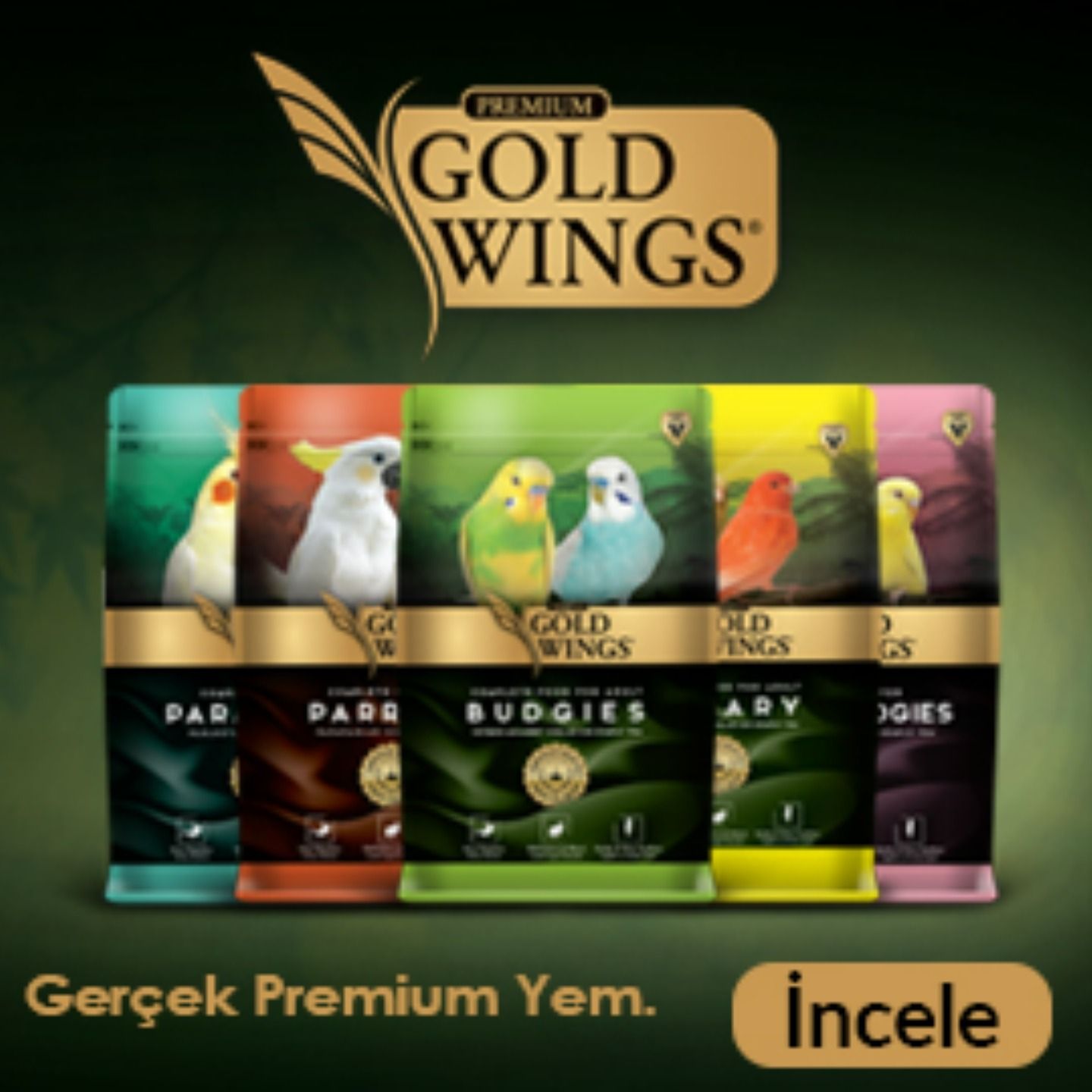 Gold Wings Premium Serisi