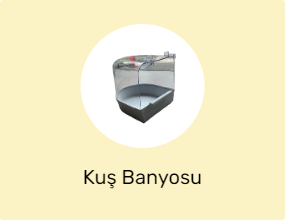 Kuş Banyosu
