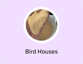 Bird Houses
