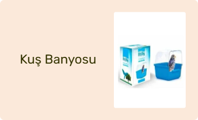 Kuş Banyosu