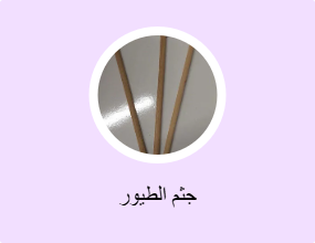 جثم الطيور