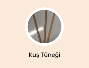 Kuş Tüneği