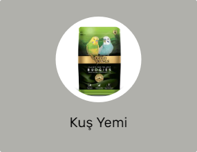Kuş Yemi