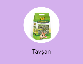 Tavşan