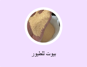 بيوت للطيور