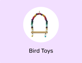 Bird Toys