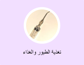 تغذية الطيور والغذاء