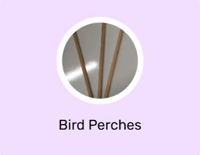 Bird Perches