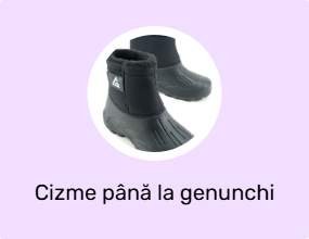 Cizme până la genunchi