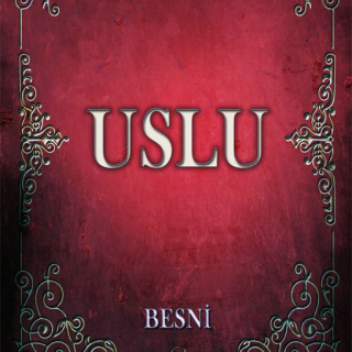 uslu_avm