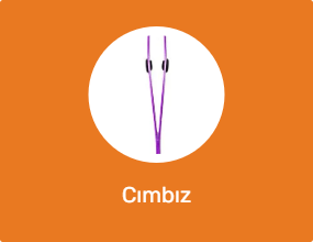 Cımbız