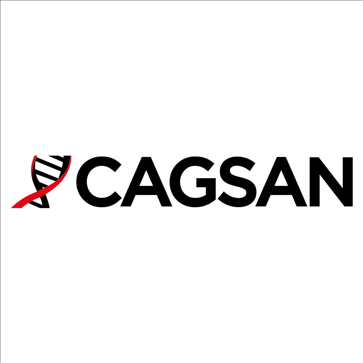 ÇAĞSAN MERDİVEN