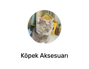 Köpek Aksesuarı