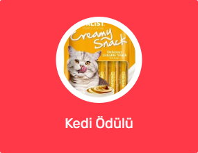 Kedi Ödülü