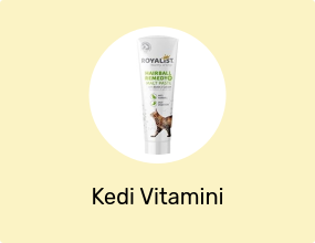 Kedi Vitamini