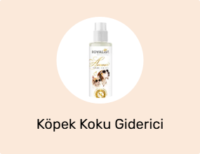 Köpek Koku Giderici