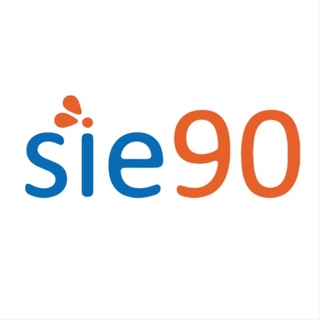 SEÇMEN DANISMANLIK LIMITED SIRKETI