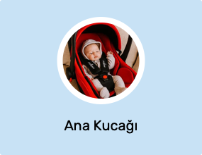 Ana Kucağı