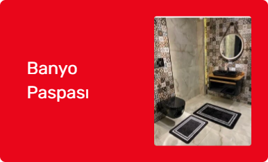 Banyo Paspası