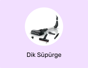 Dik Süpürge