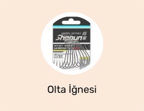 Olta İğnesi