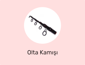 Olta Kamışı