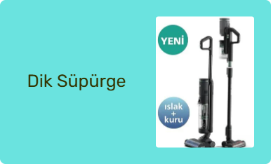 Dik Süpürge