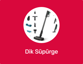 Dik Süpürge