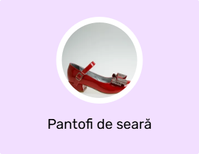 Pantofi de seară