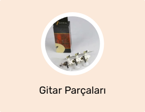 Gitar Parçaları