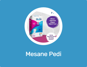 Mesane Pedi
