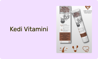 Kedi Vitamini