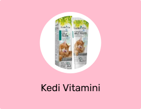 Kedi Vitamini