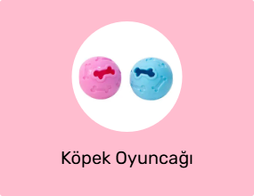 Köpek Oyuncağı