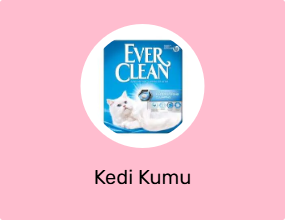 Kedi Kumu