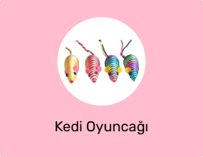 Kedi Oyuncağı