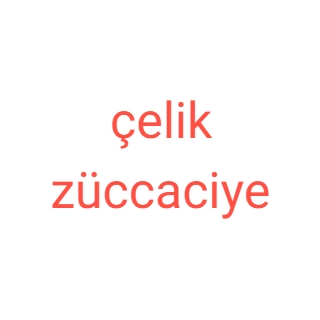 çelik züccaciye logo